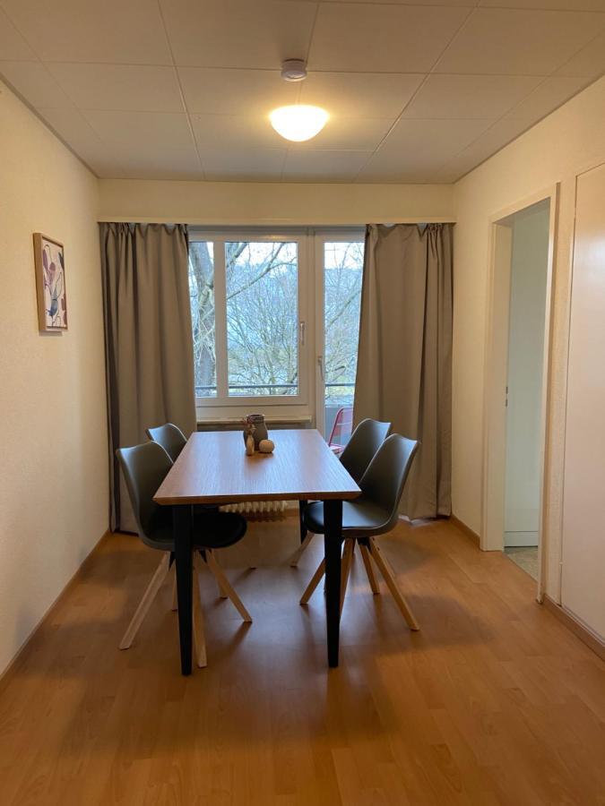Comfort 1 And 2Bdr Apartment Close To Zurich Airport エクステリア 写真